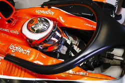 Stoffel Vandoorne, McLaren, Halo