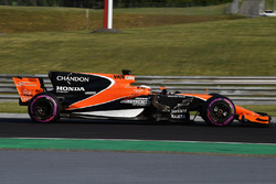 Stoffel Vandoorne, McLaren MCL3
