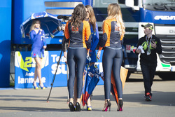 Grid Girls