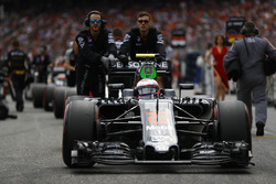 Jenson Button, McLaren MP4-31 on the grid