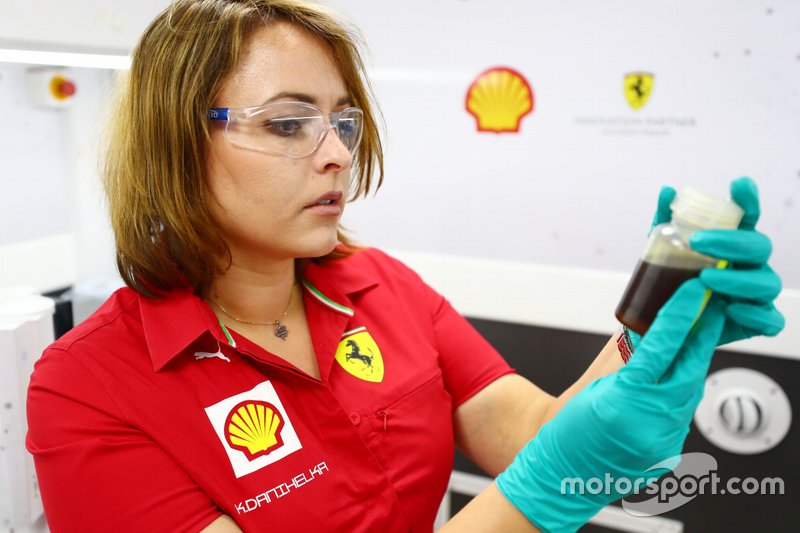 Shell team member