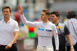 Stoffel Vandoorne, McLaren
