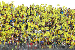 Tifosi di Valentino Rossi, Yamaha Factory Racing