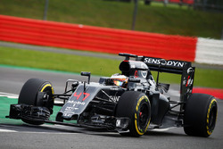 Stoffel Vandoorne, McLaren MP4-31 piloto de prueba y reserva