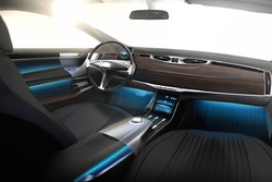 Cardi Concept 442