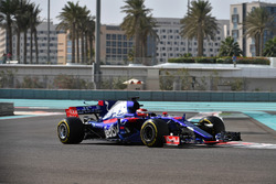 Sean Gelael, Scuderia Toro Rosso STR12