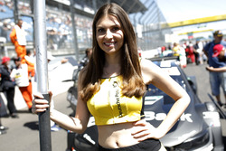 Grid girl of Bruno Spengler, BMW Team RBM