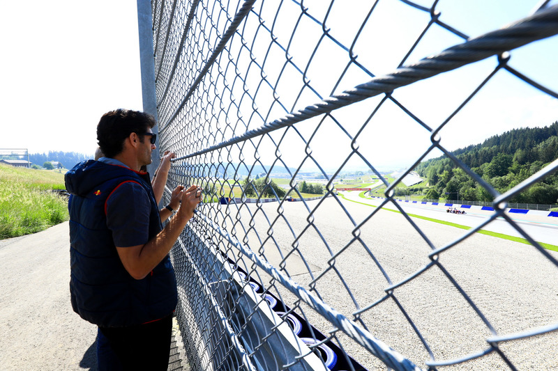 Mark Webber osserva mentre Marc Marquez guida la Toro Rosso F1