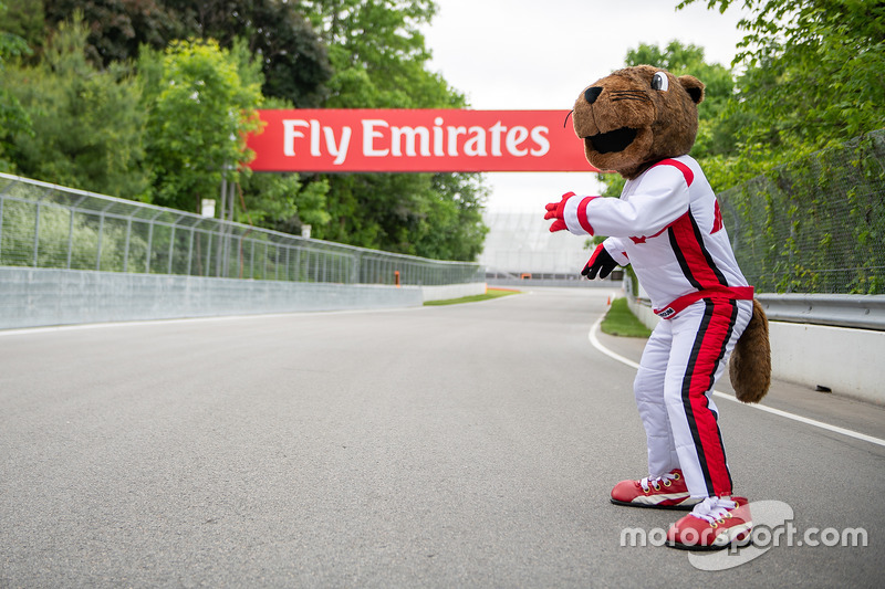 Талісман Canadian Grand Prix - Vroum