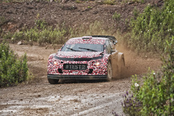 Kris Meeke tests the Citroën C3 WRC 2017