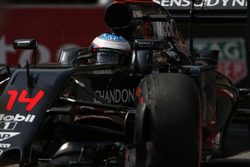 Fernando Alonso, McLaren MP4-31