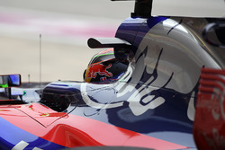 Брендон Хартли, Scuderia Toro Rosso STR12