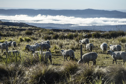 Impressionen aus Argentinien
