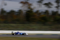 Ferdinand Habsburg, Carlin, Dallara F317 - Volkswagen