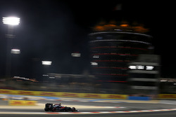 Stoffel Vandoorne, McLaren MP4-31