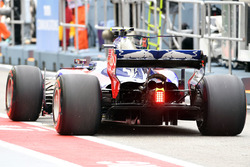 Шон Гелаель, Scuderia Toro Rosso STR12