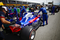 Brendon Hartley, Toro Rosso, en la parrilla