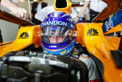 Fernando Alonso, McLaren