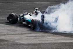 2017 World Champion Lewis Hamilton, Mercedes AMG F1