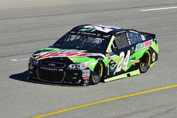 Chase Elliott, Hendrick Motorsports Chevrolet