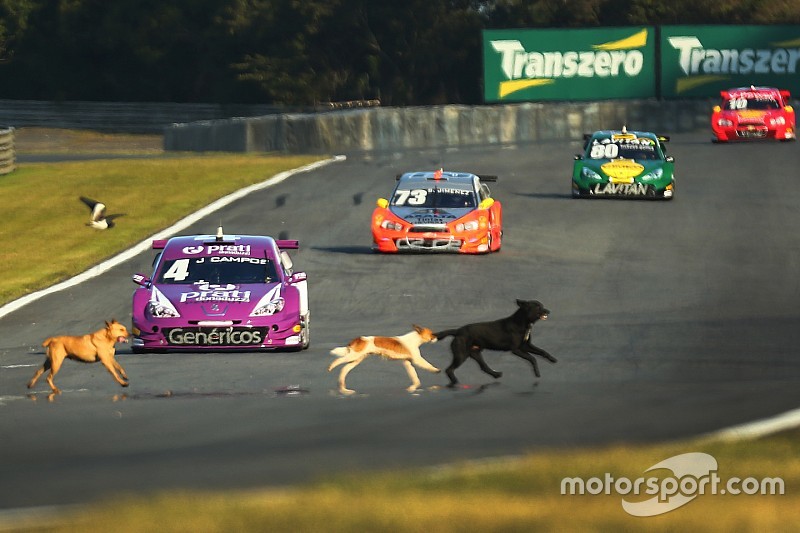 Le récap' photos du weekend - 5 août