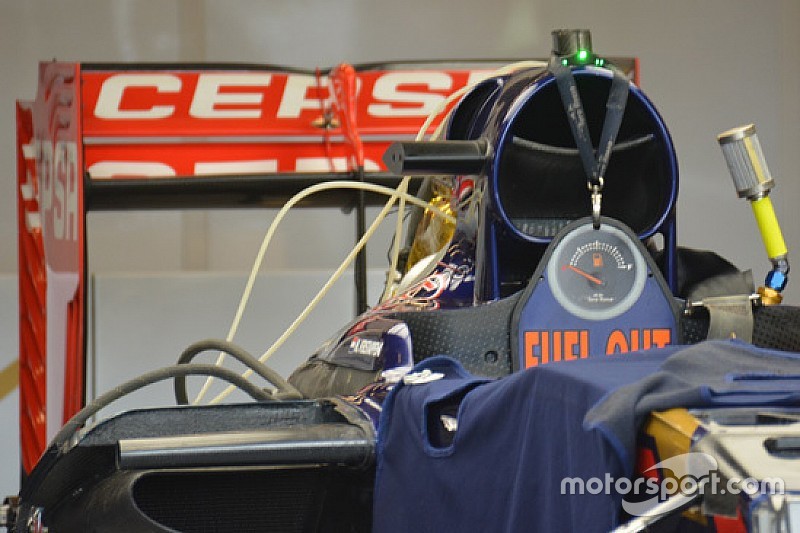 Toro Rosso: si rivedono le orecchie sul cofano motore