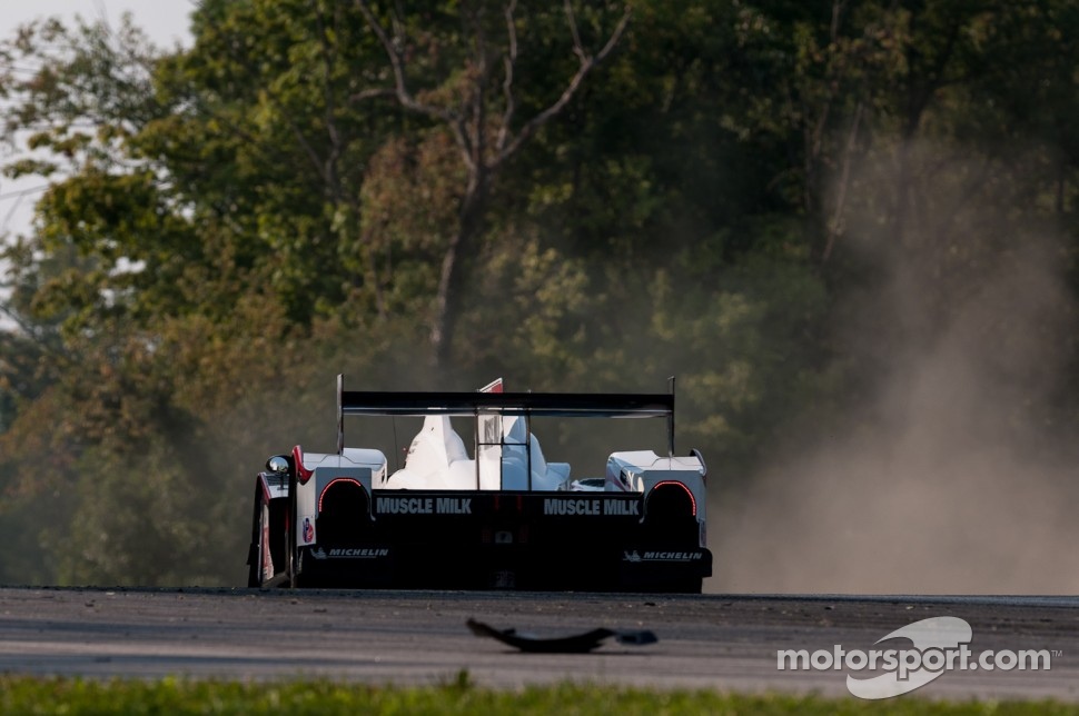 #6 Muscle Milk Pickett Racing: Lucas Luhr, Klaus Graf