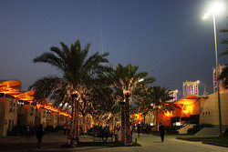 The paddock at night
