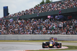 Daniel Ricciardo, Red Bull Racing RB11
