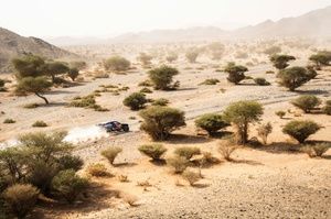 Nani Roma, contento pese a perder tiempo tras Al-Attiyah en la Etapa 8
