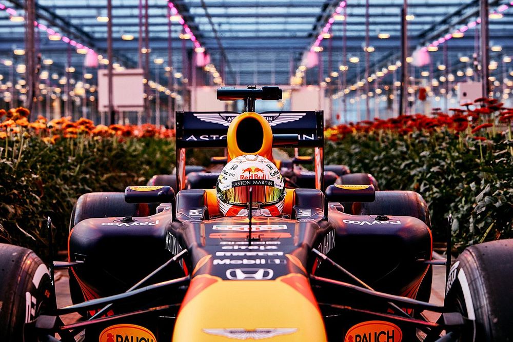 Max Verstappen, Red Bull Racing