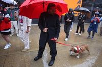F1: Hamilton 'abre mão' de teste da Pirelli para ficar com Roscoe e Zhou assume