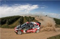 Dziesięć oes&oacute;w wok&oacute;ł Puław