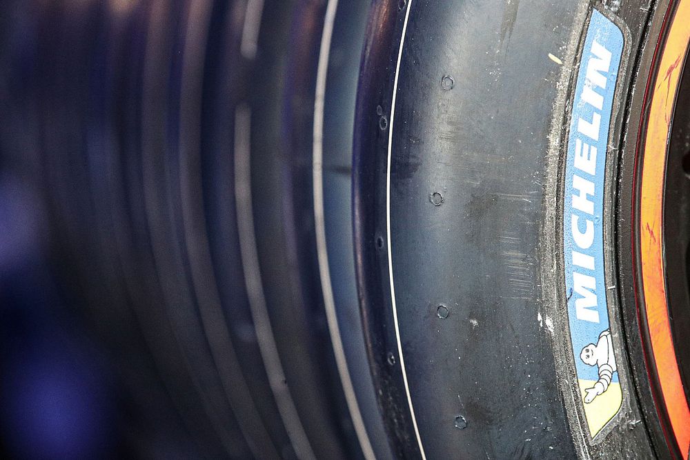 Neum&aacute;ticos Michelin