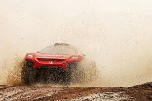 Sainz już świętuje