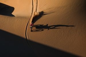 Wypadek Sandersa, awans Dąbrowskiego