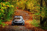 Ogier chce pom&oacute;c Toyocie