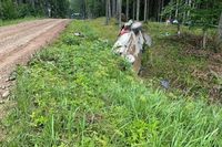 VIDEO: Tanak sale ileso de un accidente a alta velocidad en el Rally de Estonia