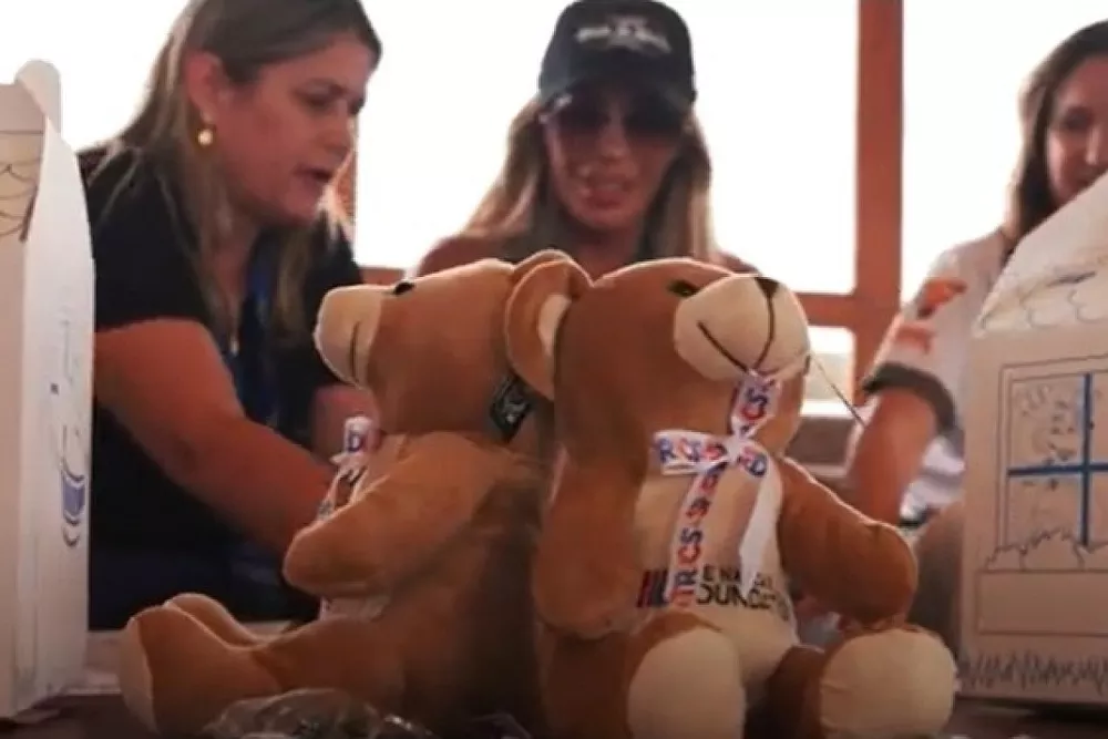 Projeto Speedy Bear - NASCAR Brasil