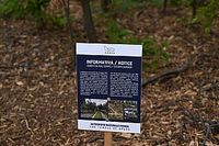 C&oacute;mo Monza perdi&oacute; un elemento ic&oacute;nico de cara a F1 2023