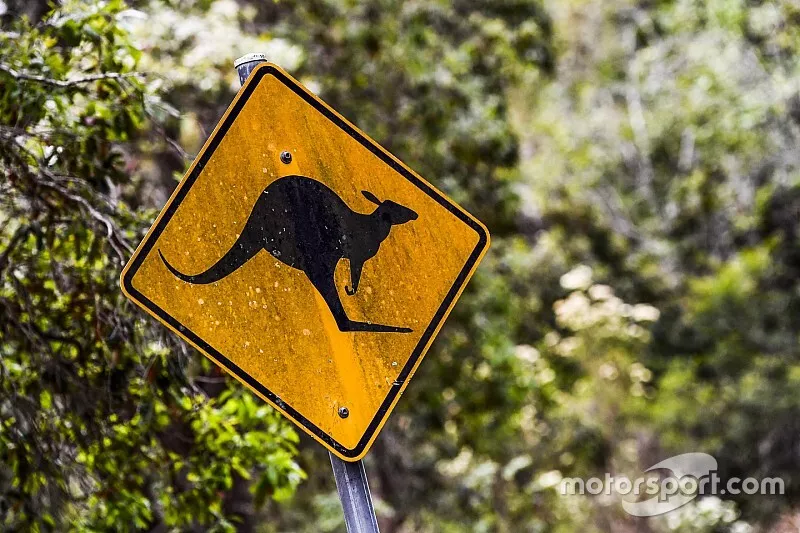 Rally Australia ambiente - canguro logo