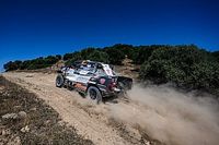 Skr&oacute;cony oes dla Nassera