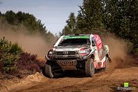 Baja Poland ponownie w Pucharze Europy