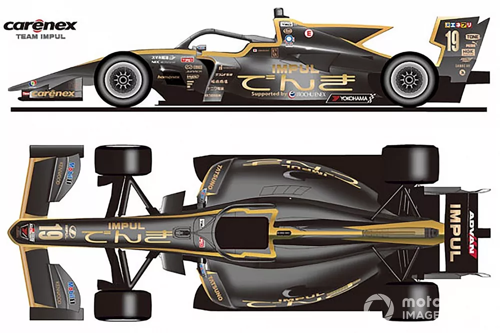 carenex TEAM IMPUL