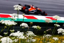  Fernando Alonso, McLaren MCL32