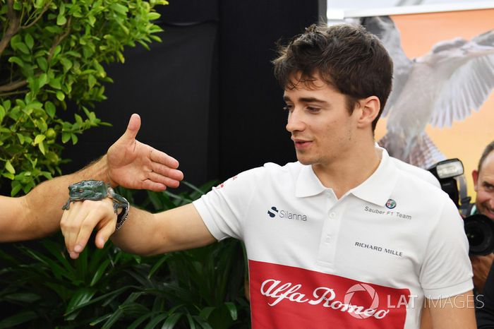 #9 Charles Leclerc, Sauber
