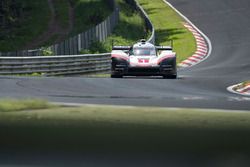 Porsche 919: Timo Bernhard