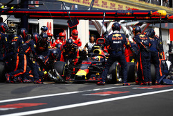 Max Verstappen, Red Bull Racing RB14 pit stop