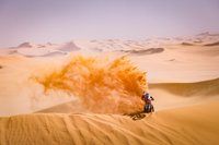 All photos