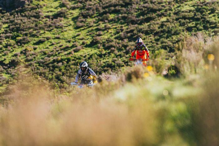 Graham Jarvis, Alfredo Gomez